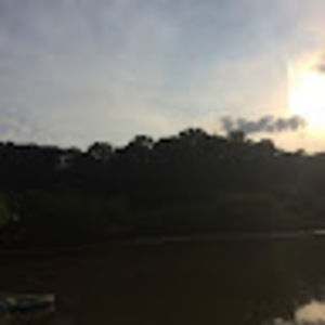 Meet your Posher, Patricia